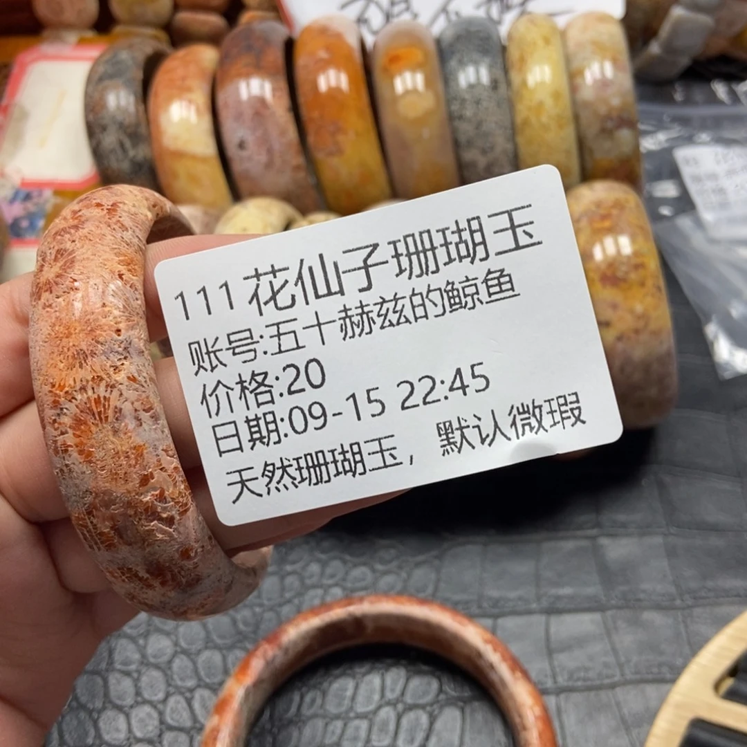 五***鱼未镶嵌硅化珊瑚（珊瑚玉）珠宝半成品111