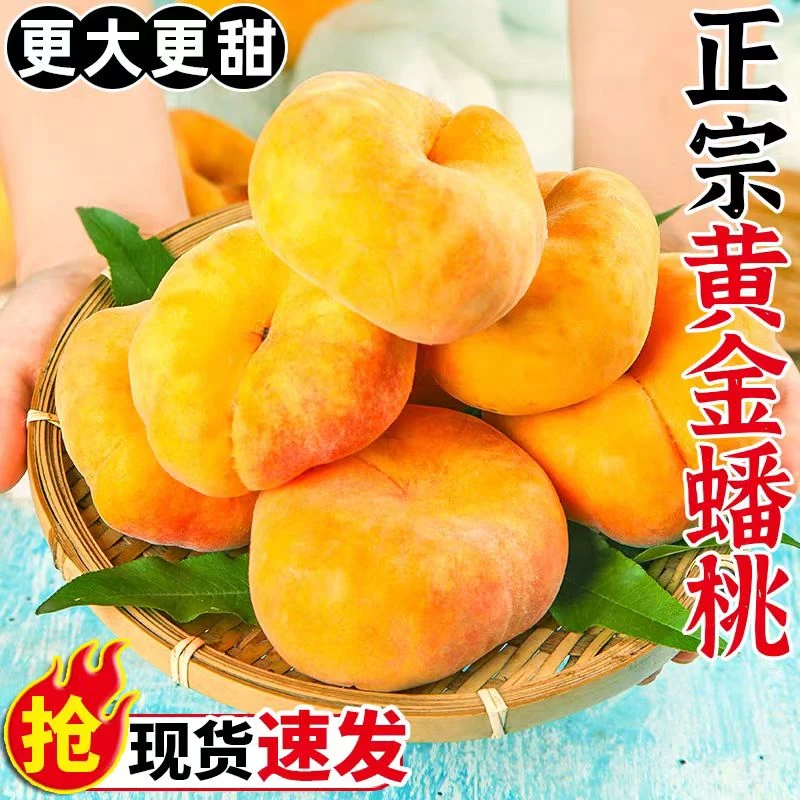 蒙阴超大蟠桃黄蟠桃品种毛蟠17现摘现纯甜产地直发坏果包赔