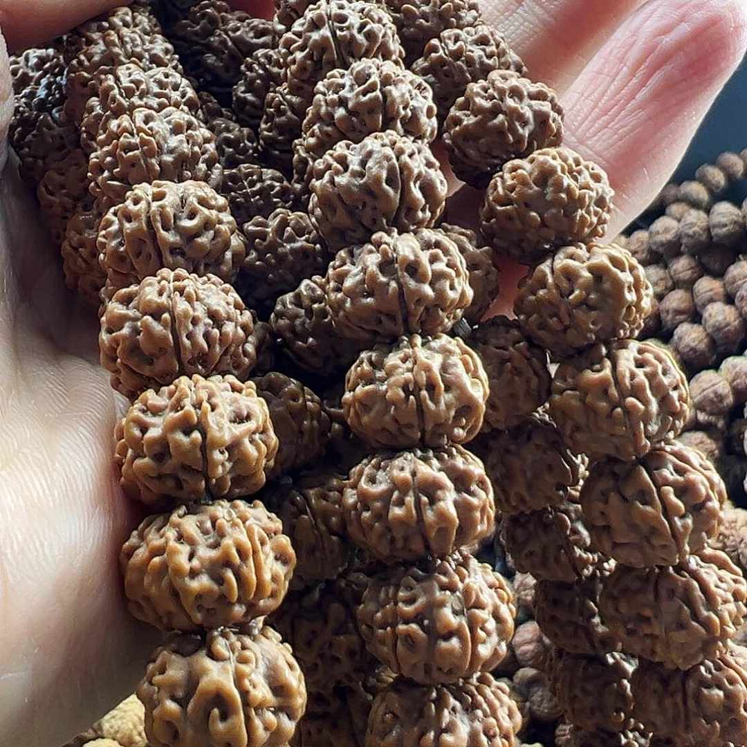 吊坠金刚菩提六瓣毒药梅花