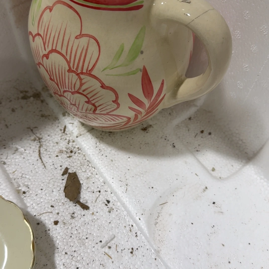 茶盏我想说什么我会和他