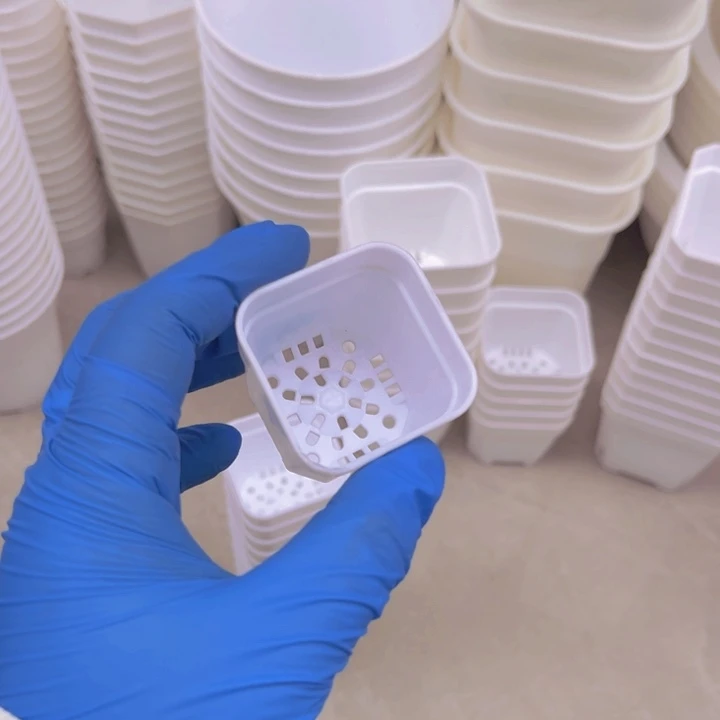 白方口4高4一组50个