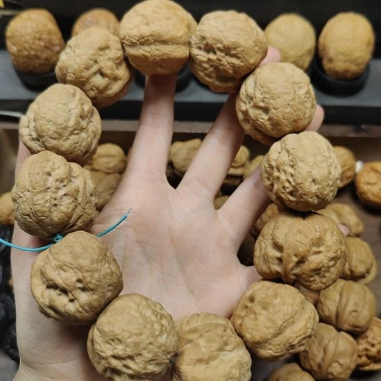 吊坠文玩核桃04聚宝蟾37