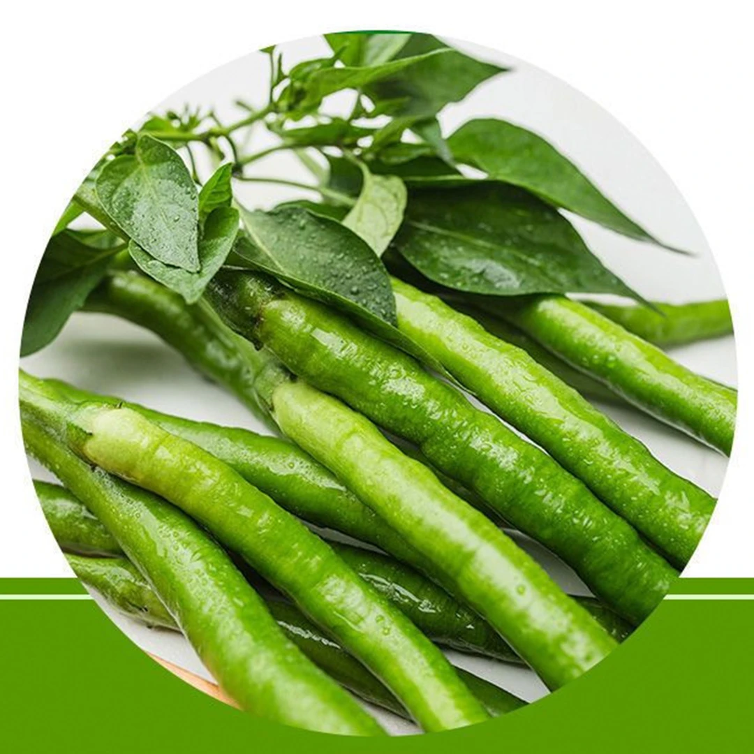【混装】云南新鲜二荆条青线椒露天环境种植新鲜蔬菜