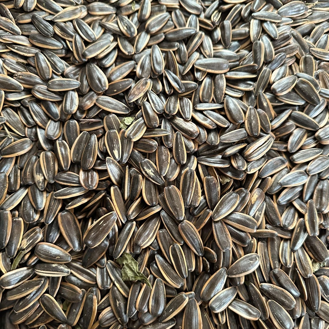 多味熟瓜子两斤装不含干燥剂焦糖绿茶口味