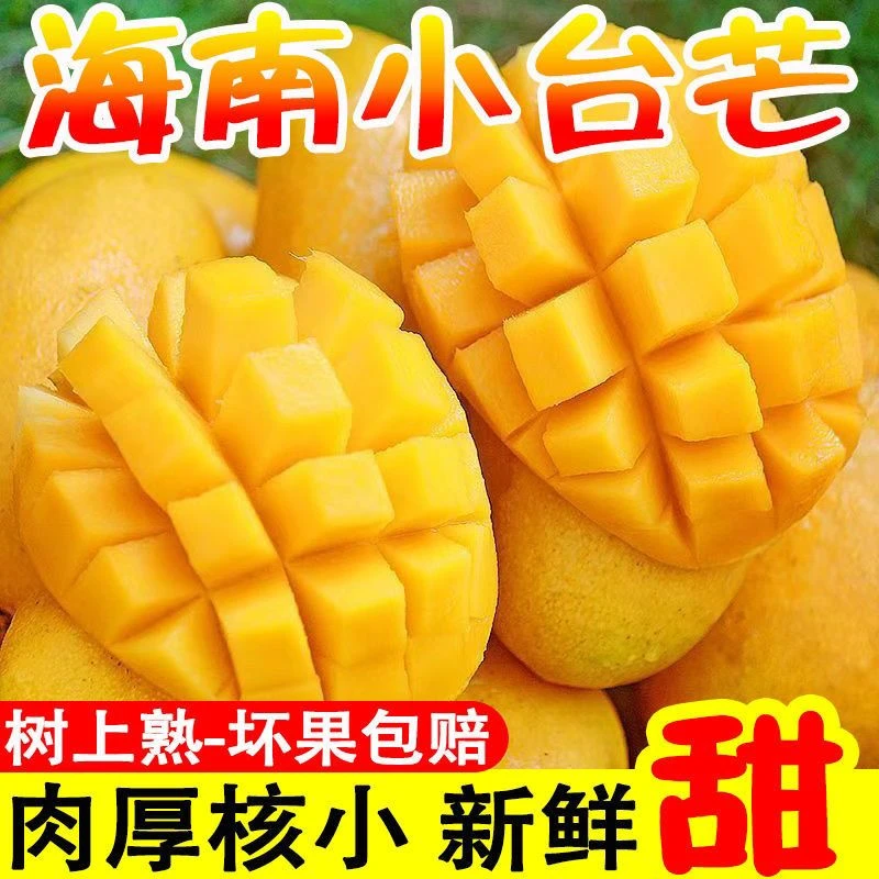 海南直发正宗台农芒果新鲜采摘皮薄肉厚香甜多汁水果