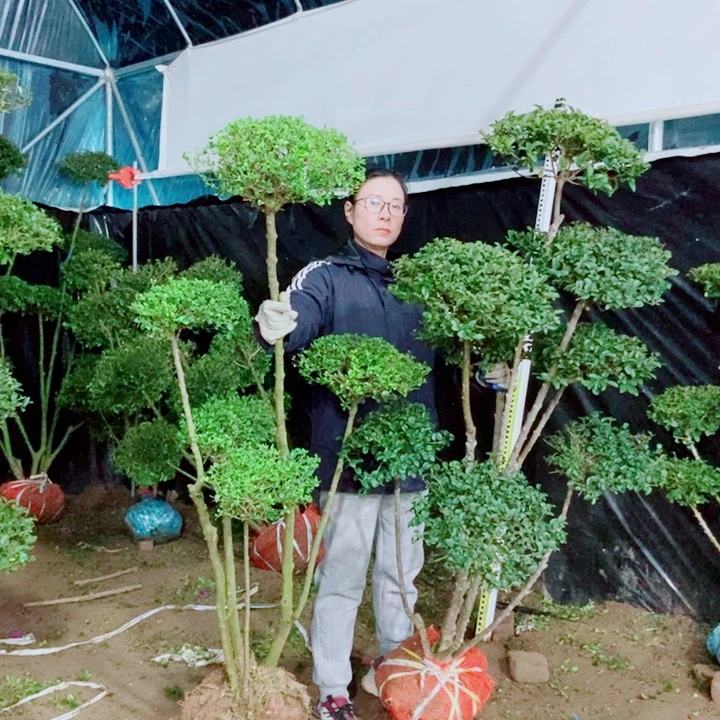 一物一图一物一拍