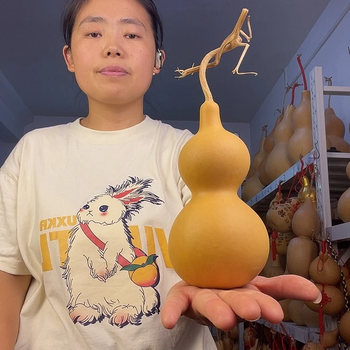 天然葫芦一物一图看图片发货