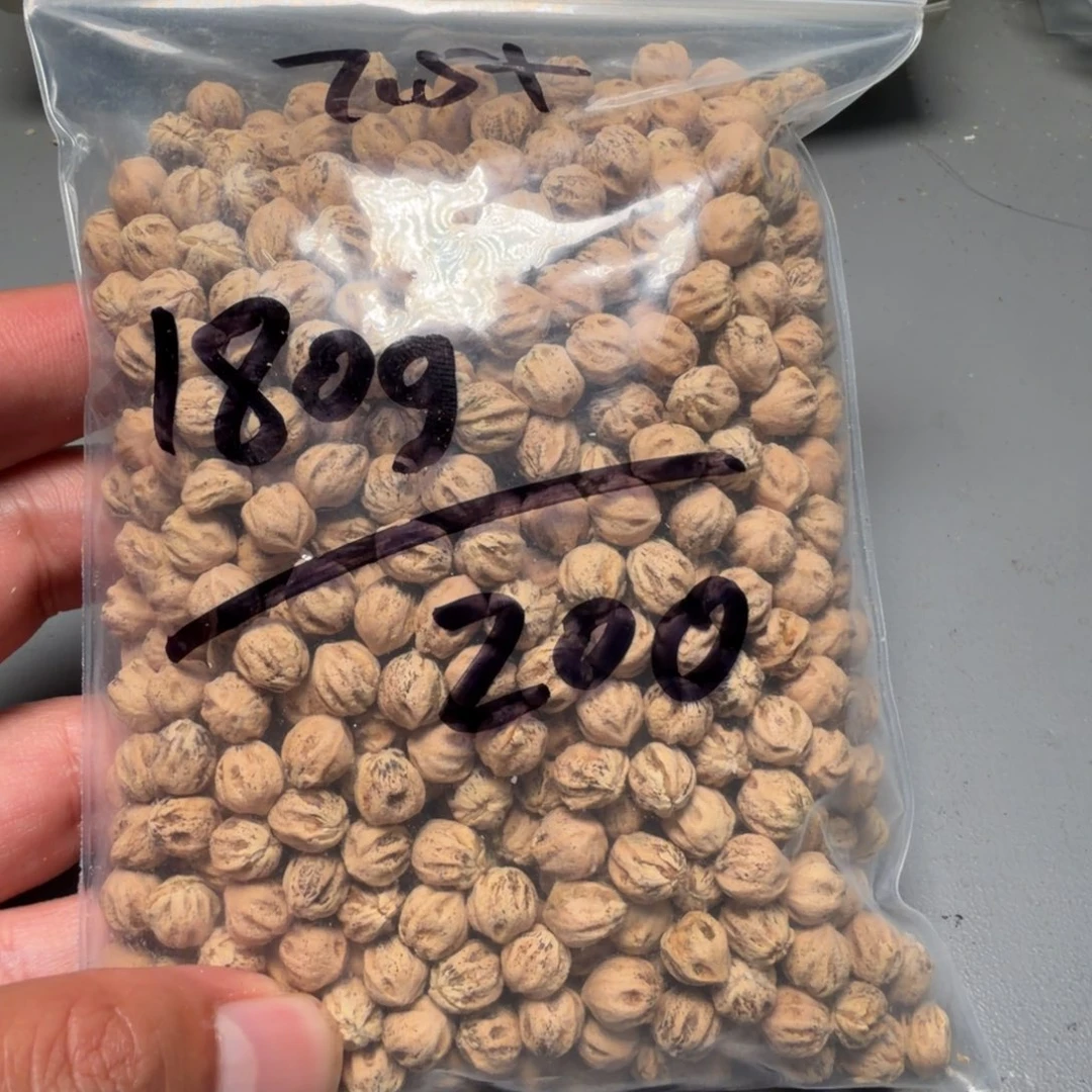 吊坠柏香籽/百香籽铁**蘑