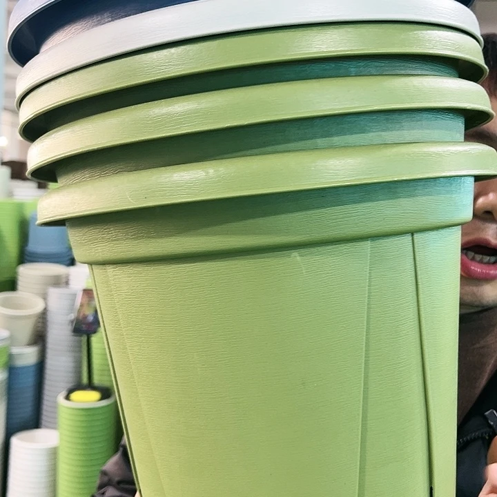 正品青山口32高28果绿色5个无托