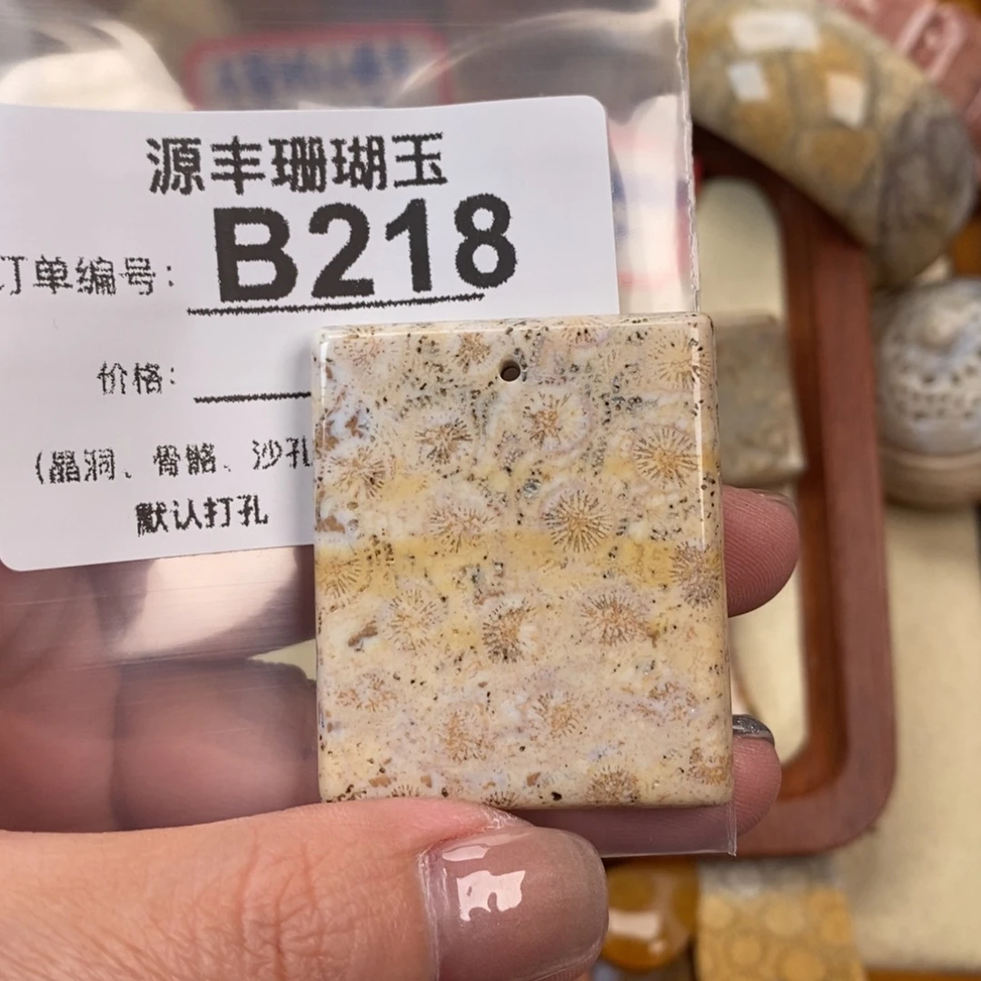 硅化玉颈饰未镶嵌小*子
