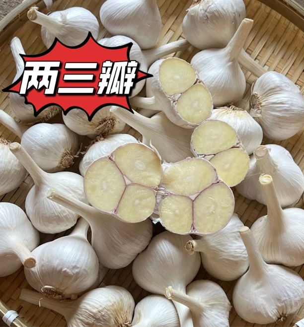 苍山两三瓣新鲜白皮大蒜蒜香味浓口感粘辣大蒜头新鲜