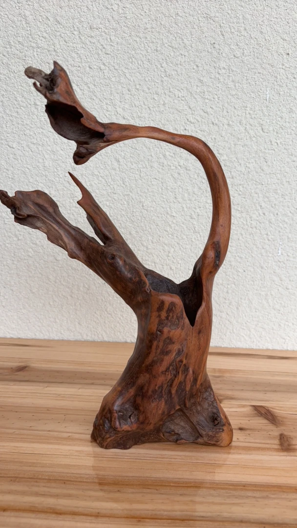 云南树根根艺花瓶摆件尺寸长25-宽14-高35