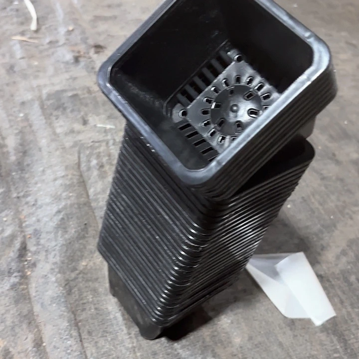 9公分黑方盆30个