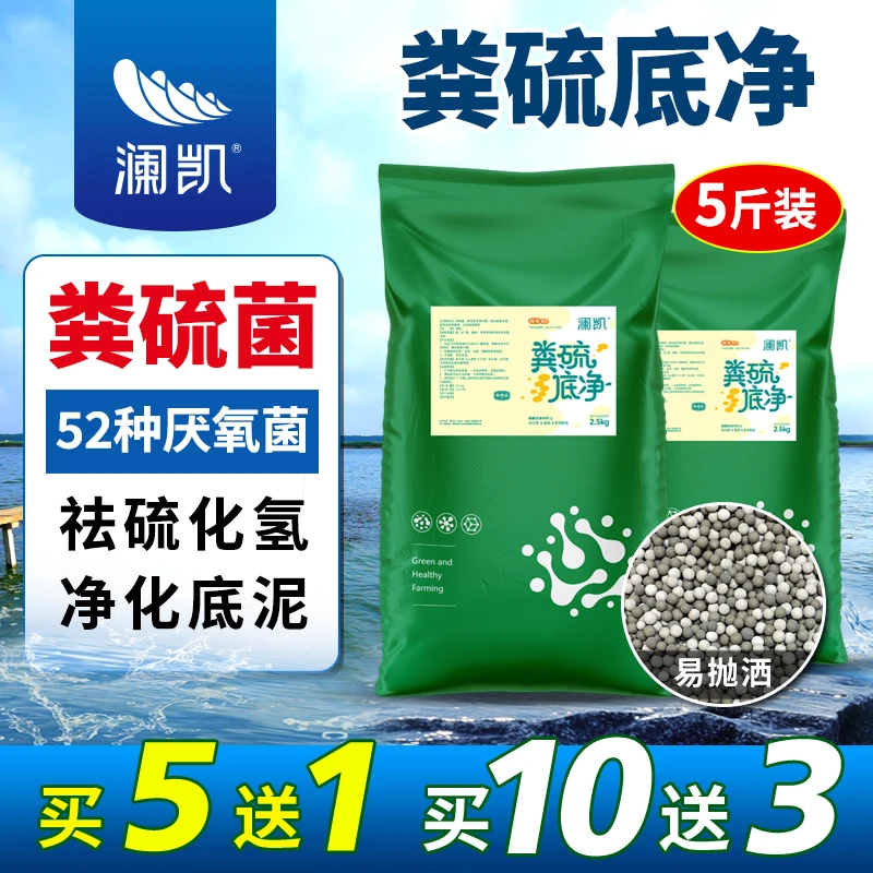 粪硫菌颗粒水产养殖用降解硫化氢亚硝氨氮分解底泥净水除臭底改王