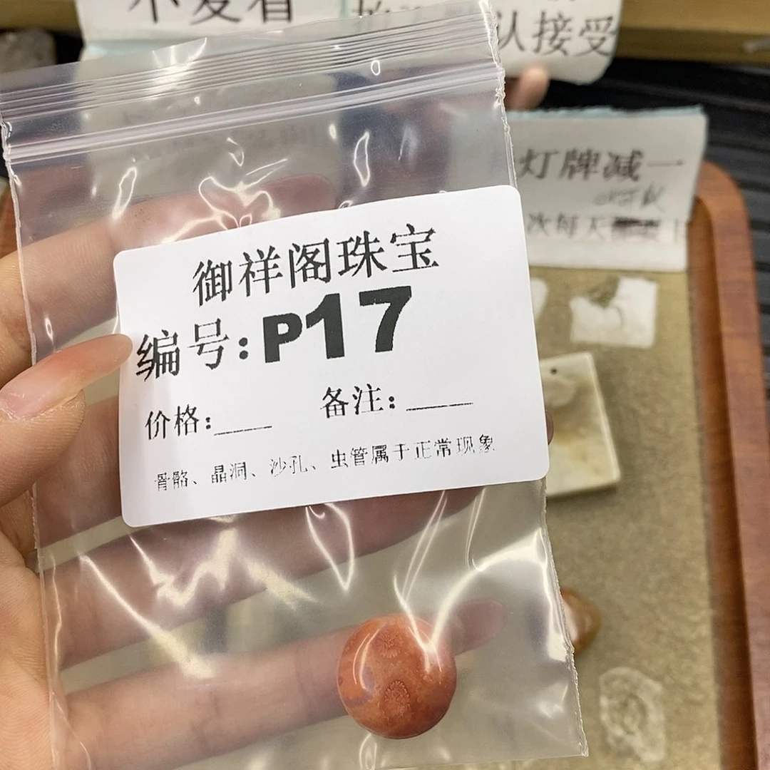 硅化珊瑚（珊瑚玉）未镶嵌颈饰兰*