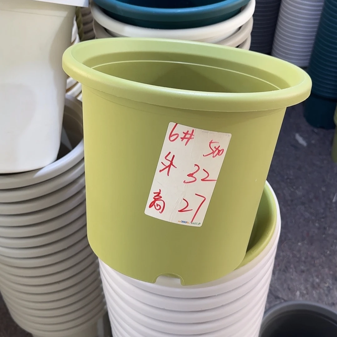 微瑕6号3个无托，果绿