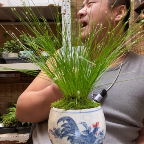 红陶S****a一物一拍所见即所得193