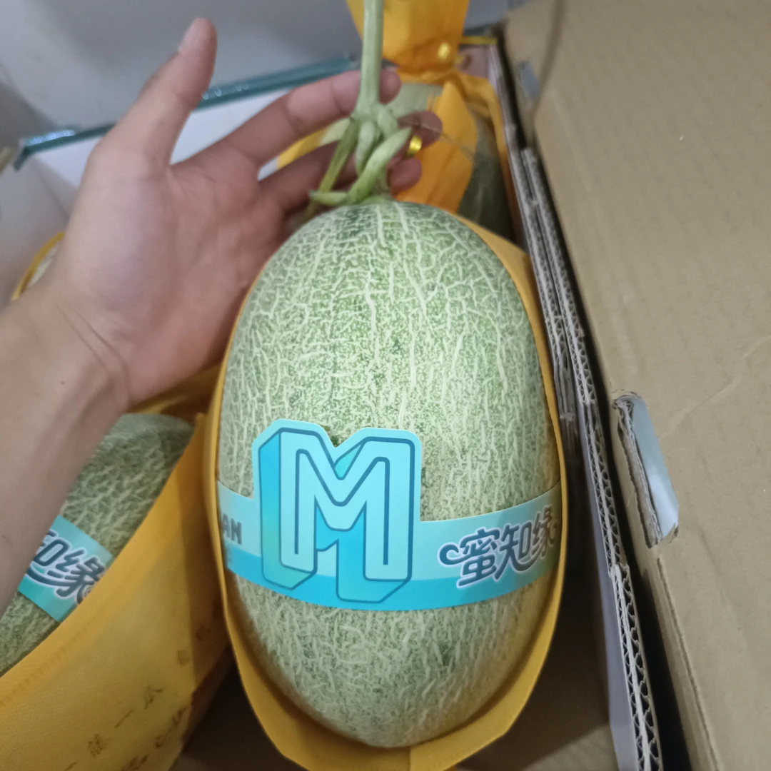 甘肃新产区晓密哈密瓜（一个）