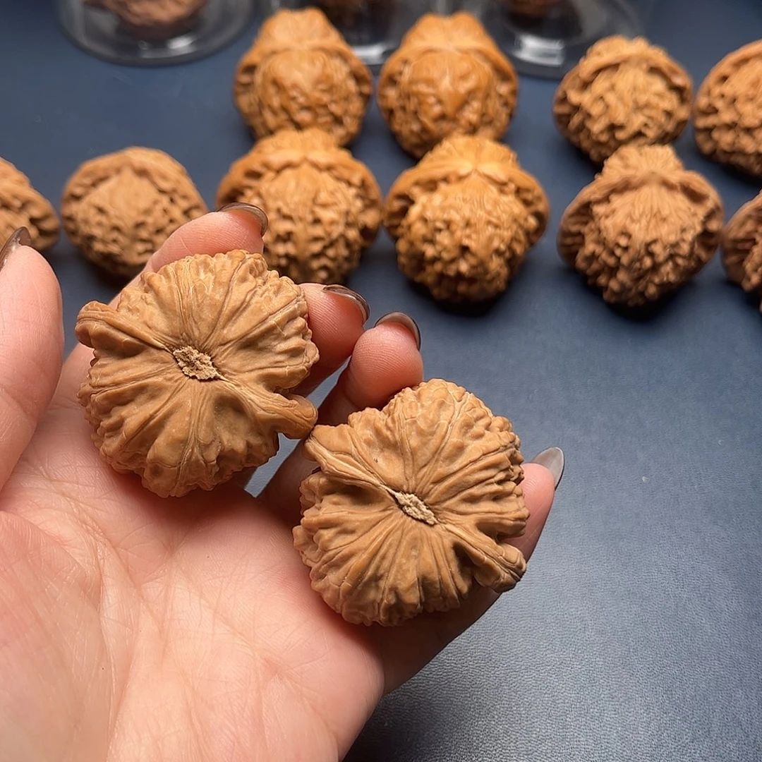 自***人核桃42尺寸白狮子