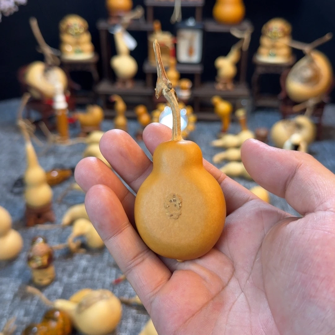 Z***手把小葫芦老皮扁