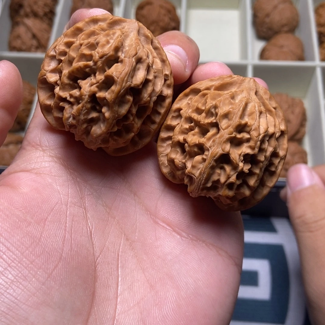 41尺全品苹果园白茬