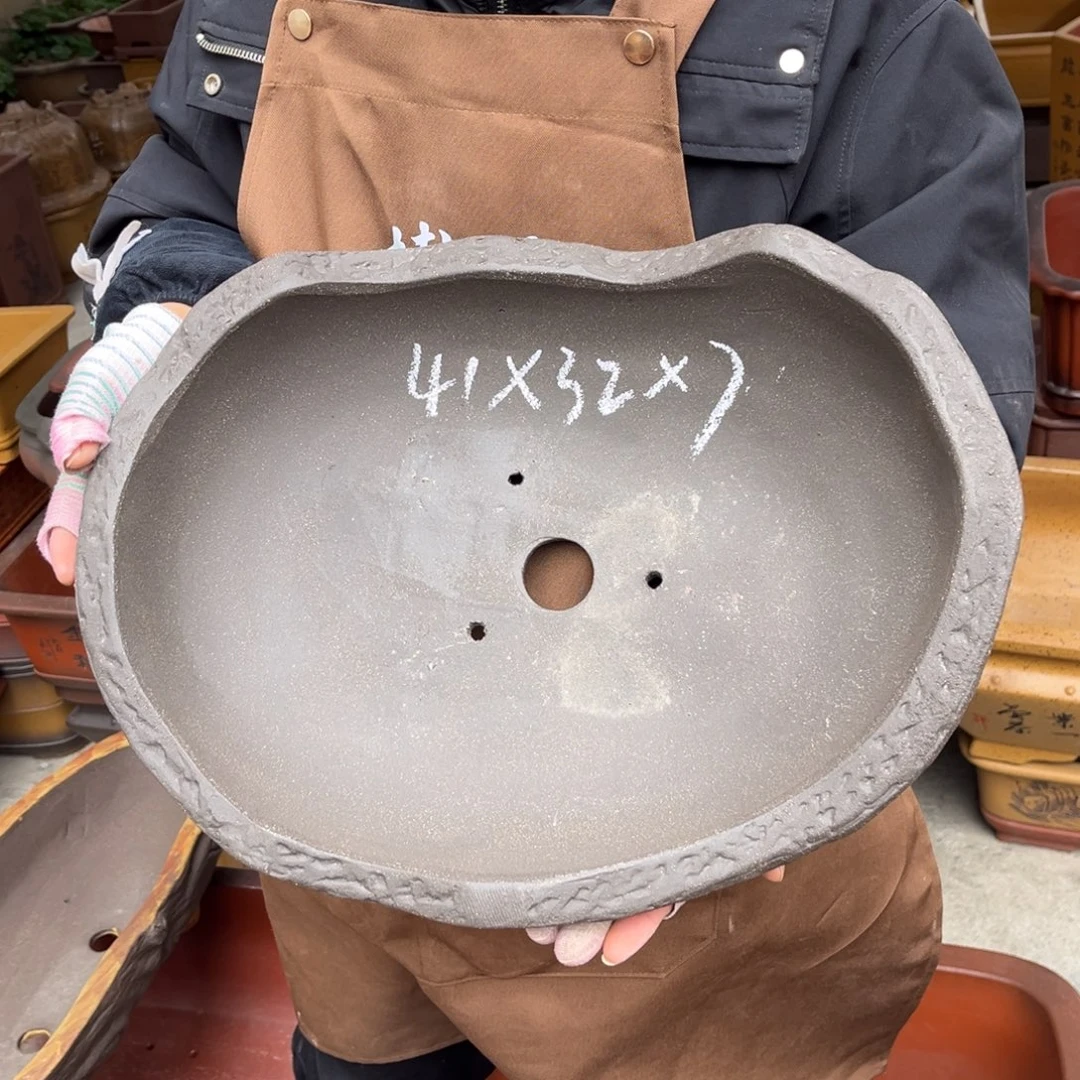 花盆紫砂盆景艺术