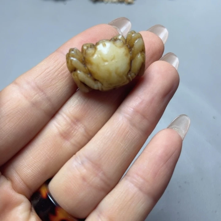 大果紫檀（缅甸花梨）