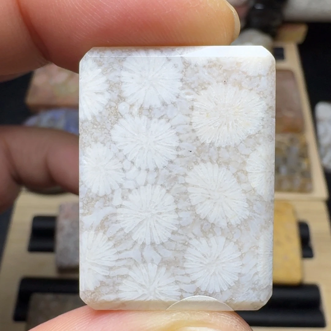 硅化玉未镶嵌纯天然色有机玉石保真色