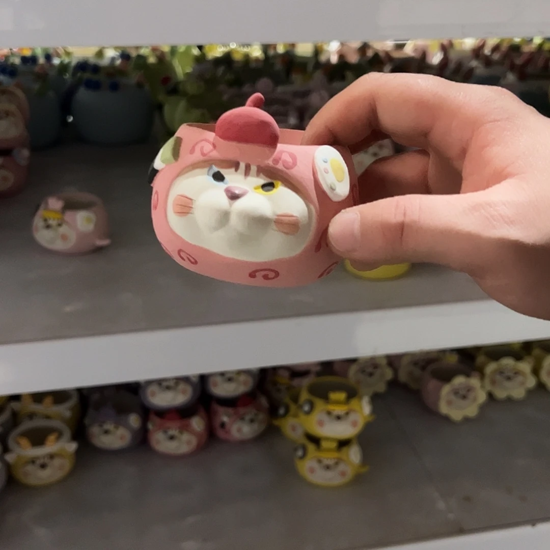 特价福利 随机一个