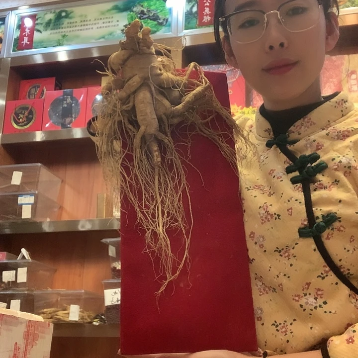 中国大陆瑕疵人参有水锈一支