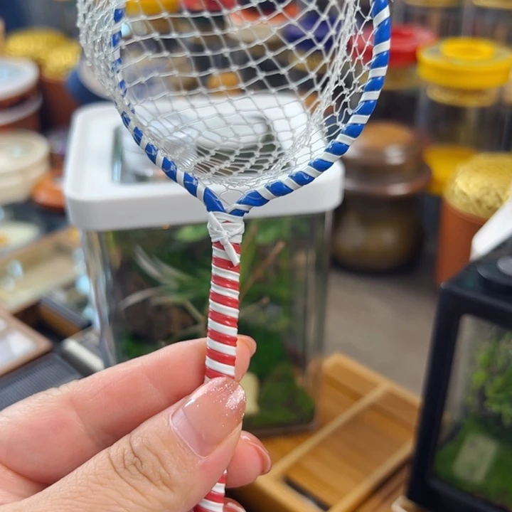 津***艺哈哈哈哈哈网一个