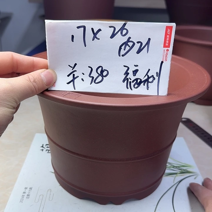 春秋花盆精品兰盆