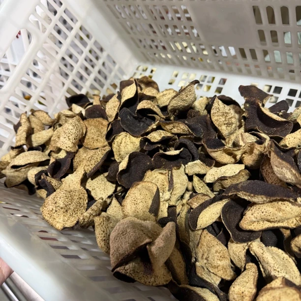 2020年驳枝大红断皮，浮力款