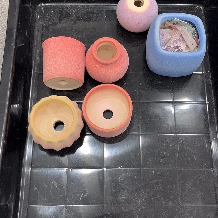 陶柏宁小哥哥专属