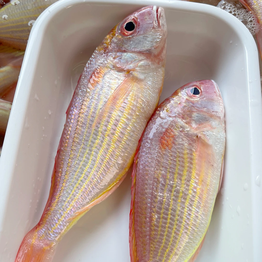 海钓红杉鱼 5斤（2-3条/斤）红三鱼 天然海鱼速冻 顺丰发货炸鱼