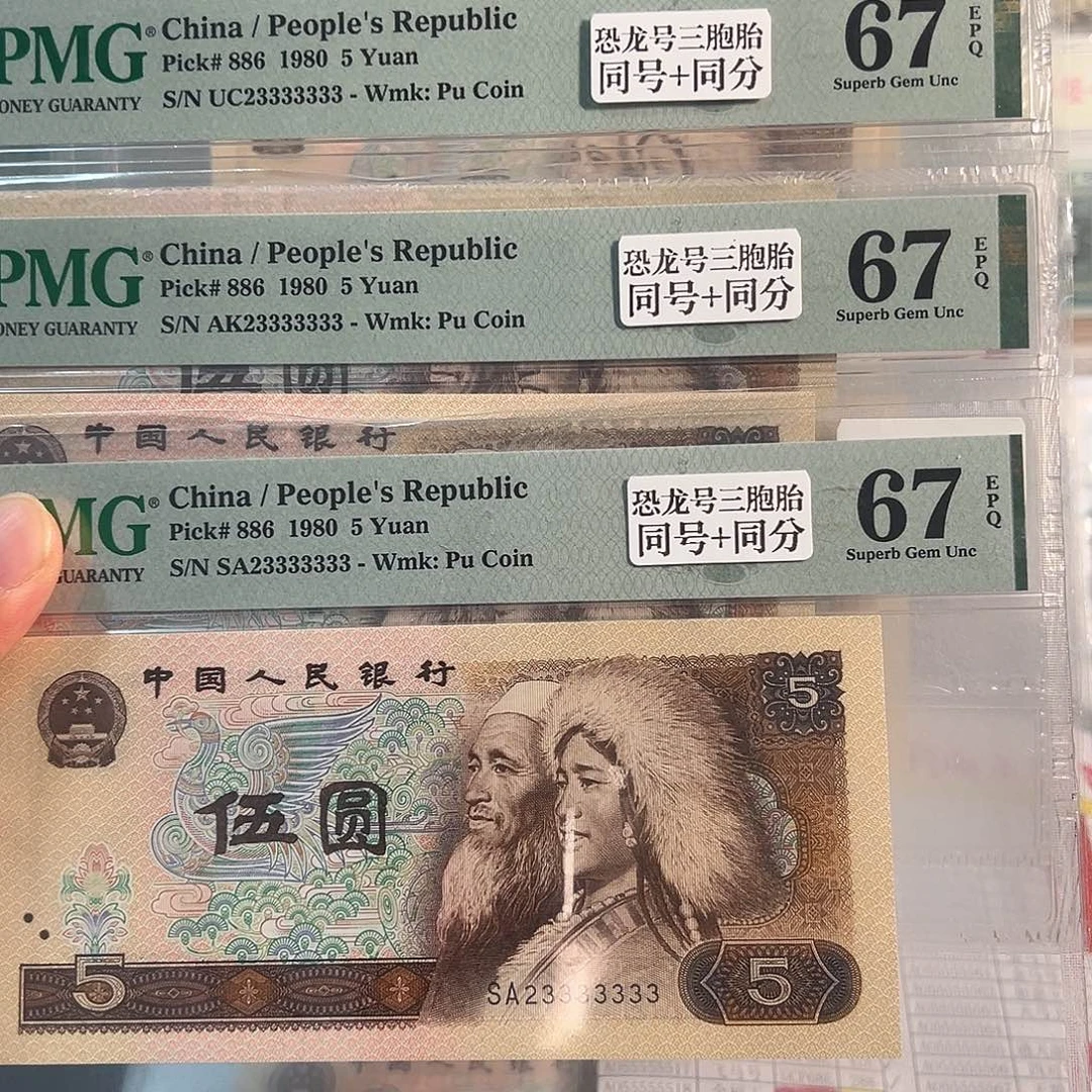 纸805恐龙号三胞胎23333333