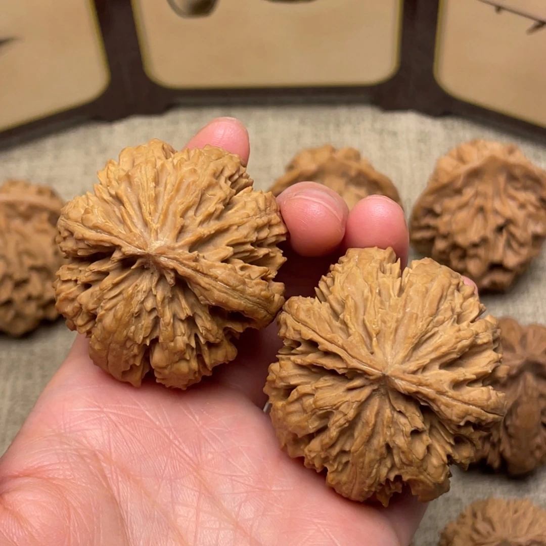 音***男核桃秦岭野生核桃7号