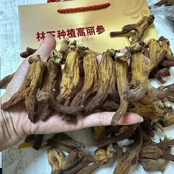 【参海】高丽参 黄马褂沉香 原枝小枝