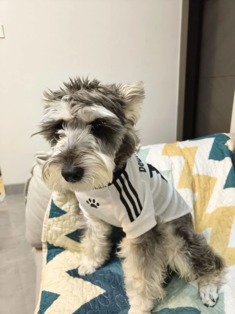 可爱经典复古足球服