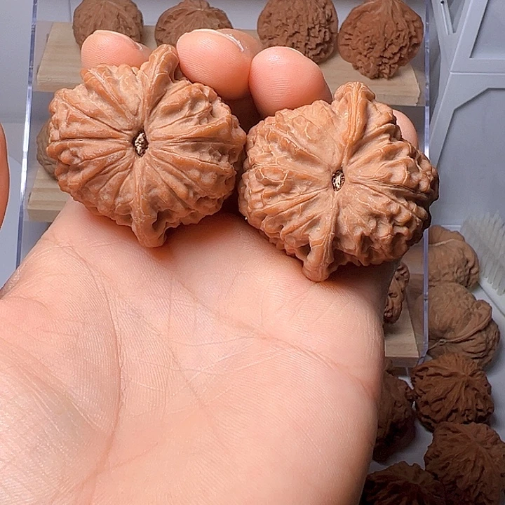 血麒麟尖有修尺寸42.5
