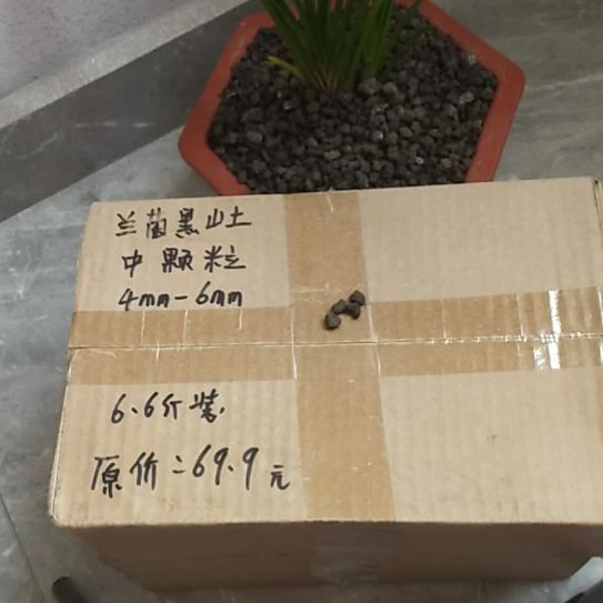 非***心兰菌黑山土中颗粒6.6