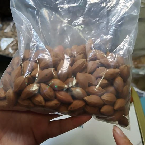 老***弓吊坠橄榄核11+尺寸小籽