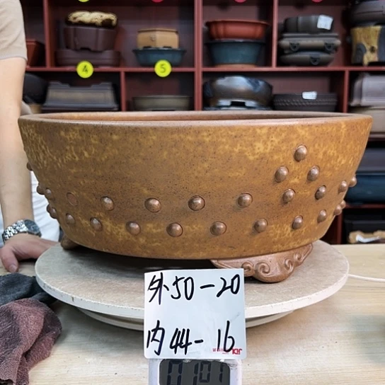 ?****?紫砂花盆中香气飘扬