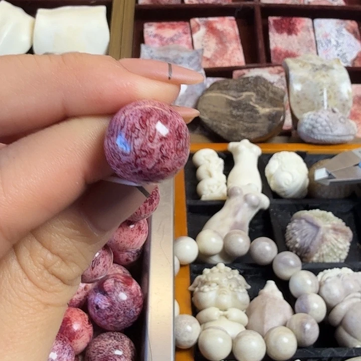 瓦***窑养殖鹿骨三界珠1.6一颗