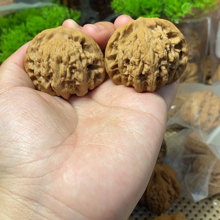 核桃手串/手链盘龙虎头43尖有嗑