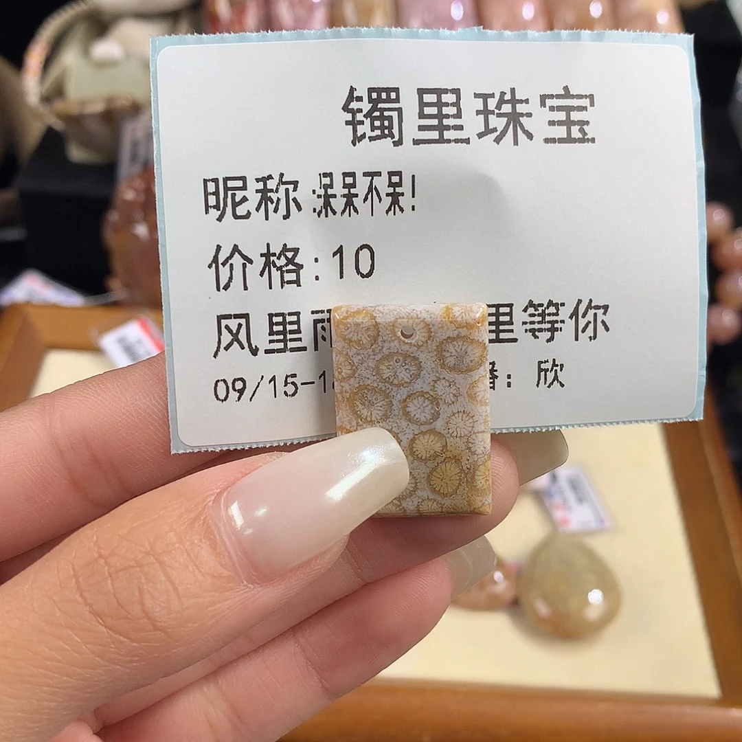 呆***！吊坠(赠链)未镶嵌硅化珊瑚（珊瑚玉）
