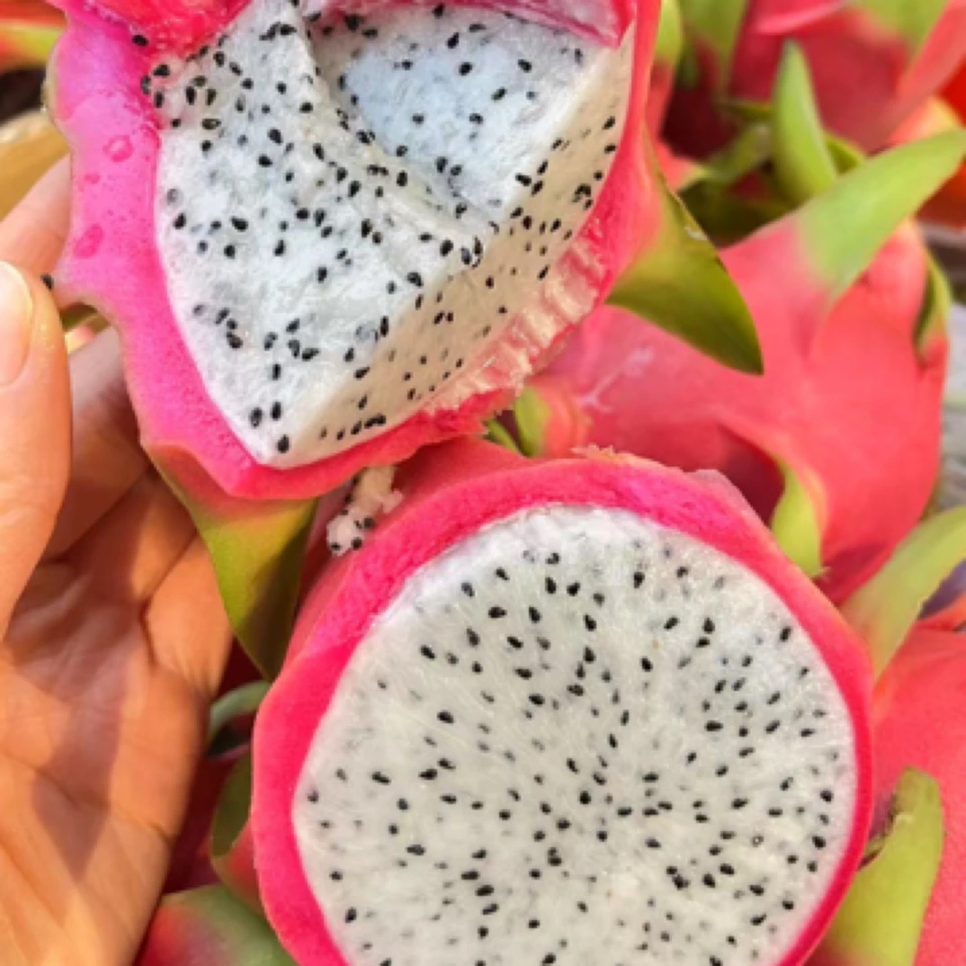 白心火龙果9.9元2个750克左右