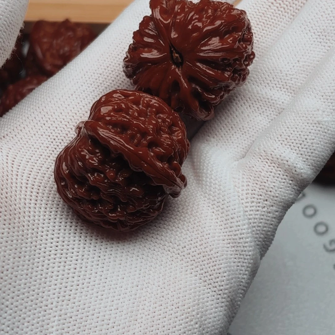 C***7核桃白狮子核桃核桃