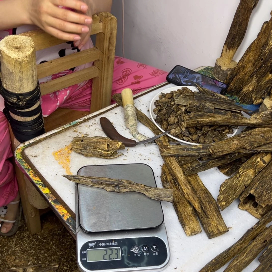 线香奇楠虫漏香22克