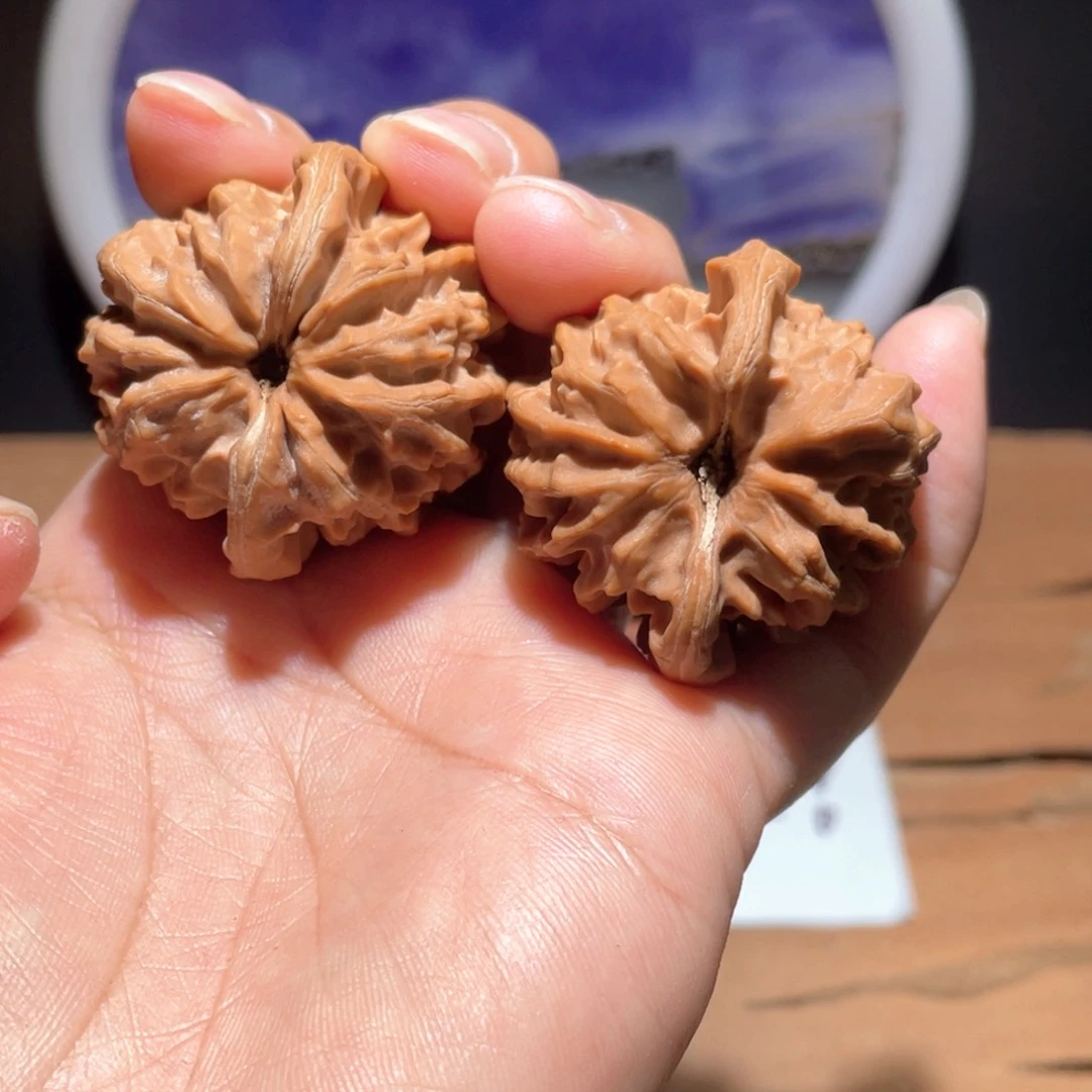 S078 39尺 大龙 微